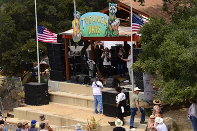 DSC_1966 (Large).JPG